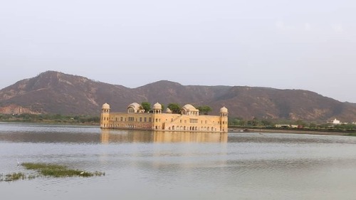 #jaipur #jalmahal #likeforlikes #like4likes #likesforlikesback (at जल महल) https://www.instagram.com