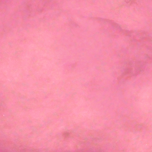 frappuccino:  What gives the new Cotton Candy Frappuccino fan flavor its…flavor?