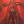roy-troy:  alphathot:  That 1 friend at the club who’s always having boy problems