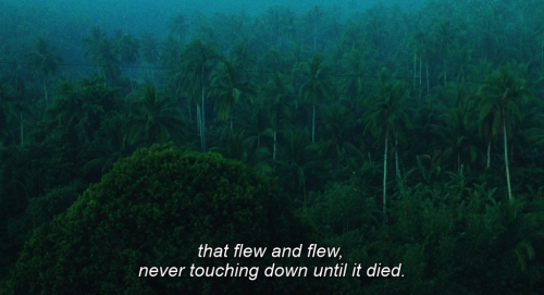 sacredwhores: Wong Kar-wai - Days of Being Wild (1990)