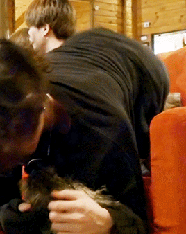 Two Puppies~