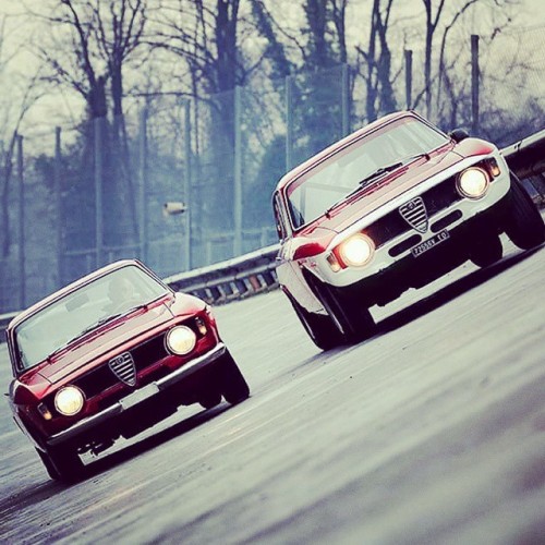 giobbatta:#AlfaRomeo #GTA