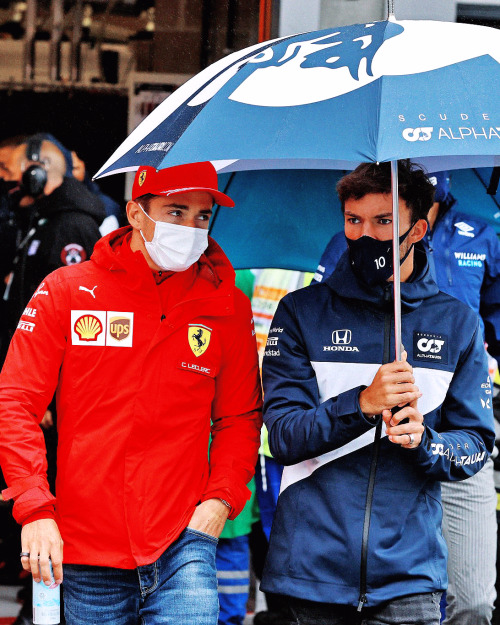 pinsaroulettes: @AlphaTauriF1: @PierreGASLY and @Charles_Leclerc always seem to find each other 