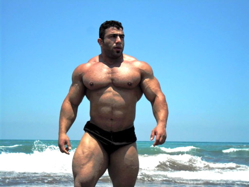 muscle guys adult photos