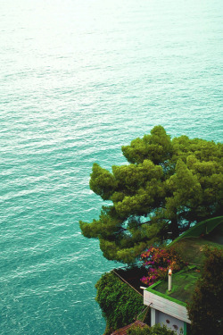 The Tree & The Sea, Italy | Photographer