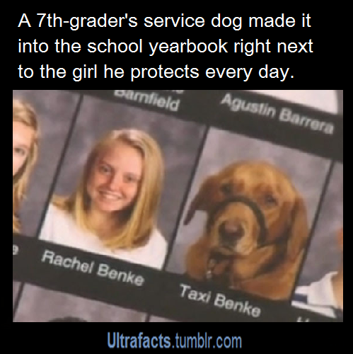 ultrafacts:  A service dog in San Antonio gets a special honor. His picture appears