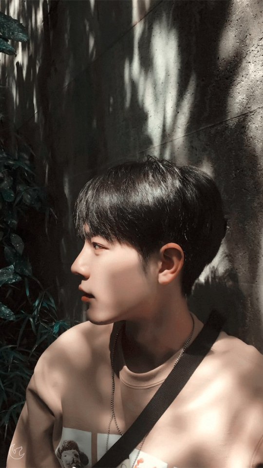 Xiao Zhan Wallpaper Pc - img-stache
