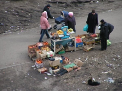 Nap Time In Russia.