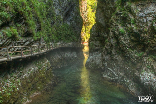 traveltoslovenia:  VINTGAR GORGE, Slovenia - this stunningly picturesque gorge with jade green water