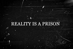Live Free.