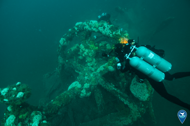 Diver swims over shipwreck in Monitor National Marine Sanctuary.