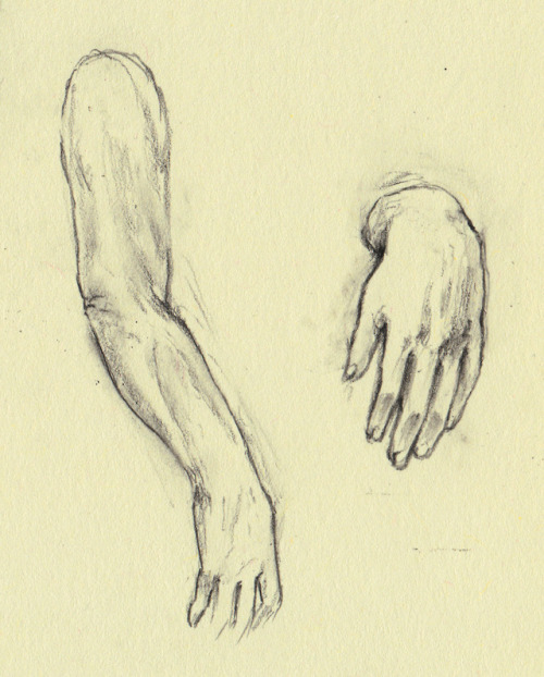 drawing study