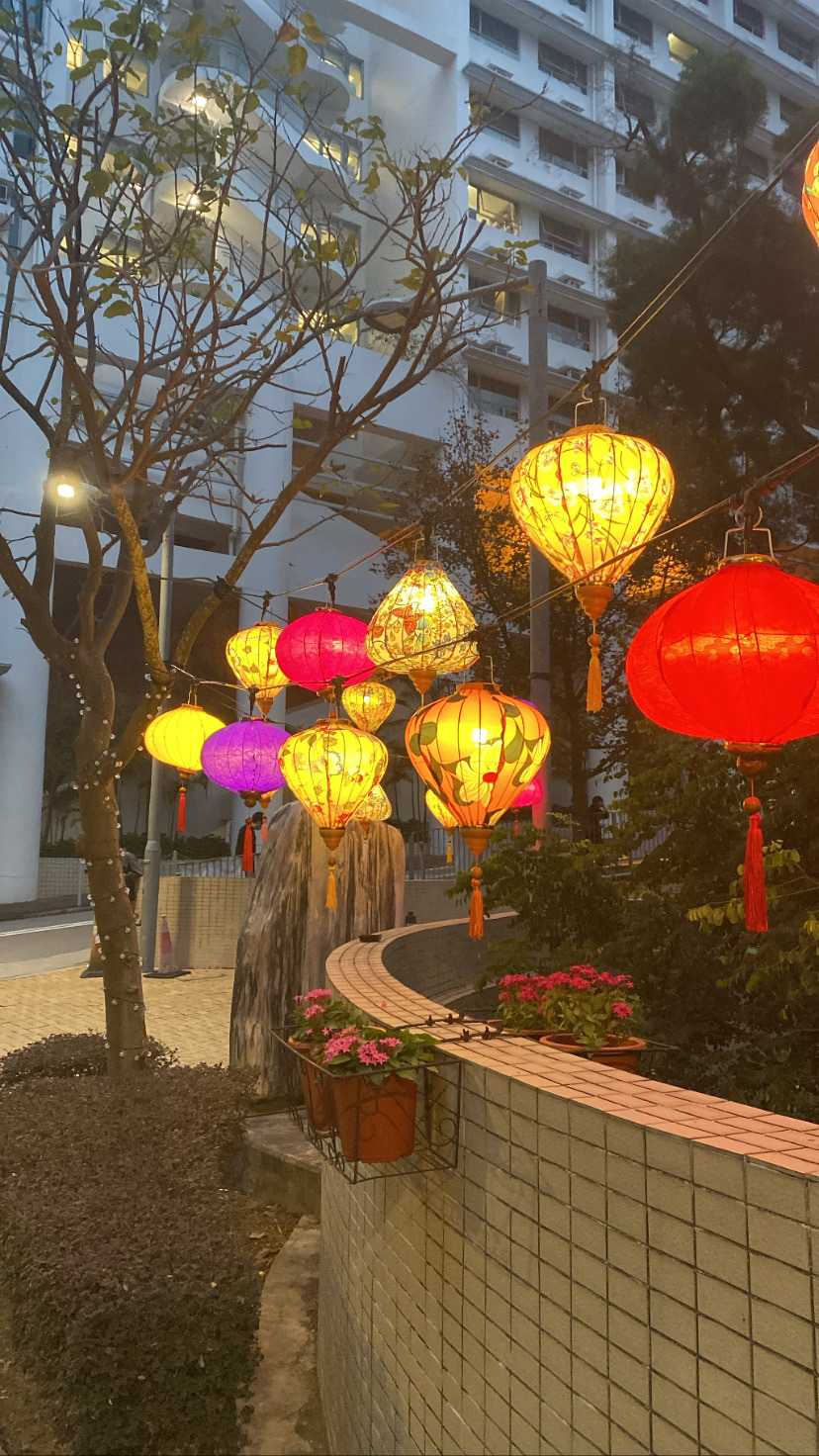 Nucb 提携校 交換留学