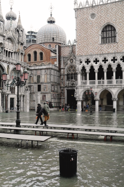 reals:
“ Downtown Venice | Photographer ”