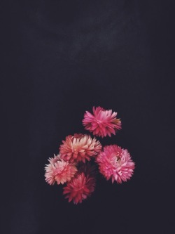 floralls:  by   zhannakruk   