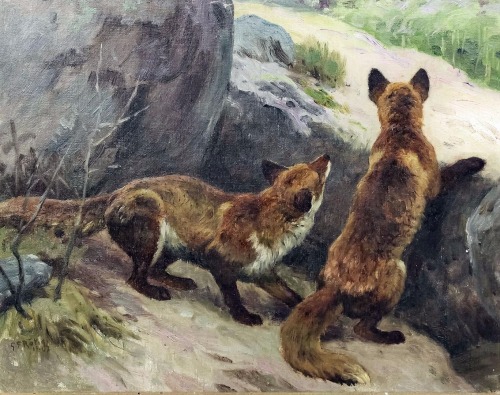 art-and-things-of-beauty:Georges-Frédéric Rötig (1873-1961) - Two foxes, oil on canvas. 1907.
