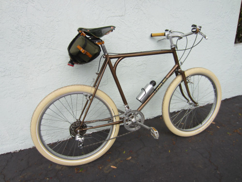 gogogadgetbikethighs: 1983 Lotus Pegasus Photoset