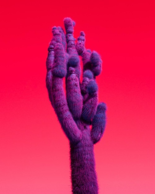 landscape-photo-graphy: Surreal Infrared Landscapes by Kate Ballis Keep reading 