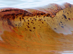 oarv:   Oil in water 