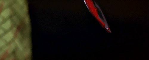 LADY SNOWBLOOD (1973) Dir. TOSHIYA FUJITA