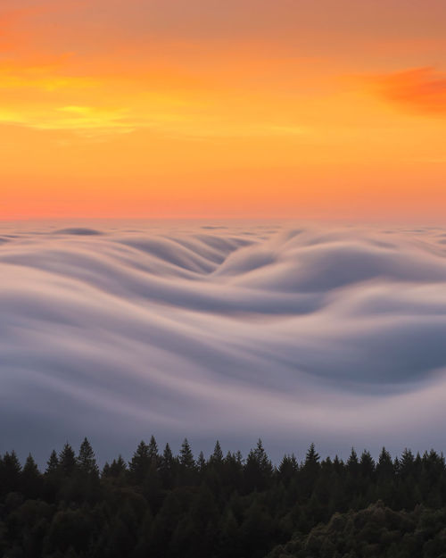 archatlas:  Nick Steinberg’s Fog WavesIn the words of the artist ​ Nick Steinberg:For the last 8 years I’ve been shooting in the San Francisco area I have been absolutely obsessed with the fog. Night and day it’s what I live for and what defines