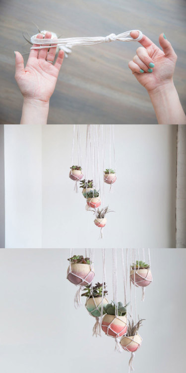 doityourselfproject:   Elegant Hanging Garden porn pictures