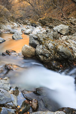 rivermusic:  River Sunrise by Plamen Troshev