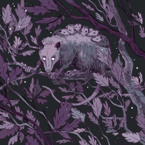 nutnoce:thanks☕[ID: a purple-toned drawing of an opossum at night, on a tree branch against a starry