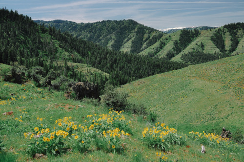 expressions-of-nature:Hells Canyon, Oregon by Cheryl