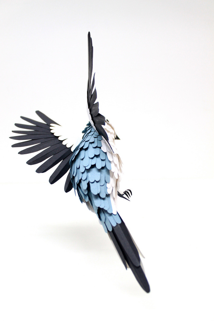 paintvrlife:  Diana Beltran Herrera is a Colombian designer and illustrator who is