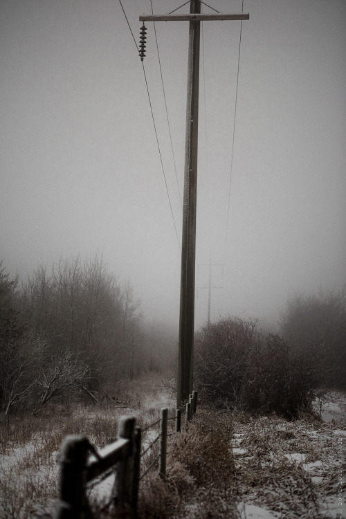 thisherelight:lines which keep us apart/together / alberta / i.m. ruzz