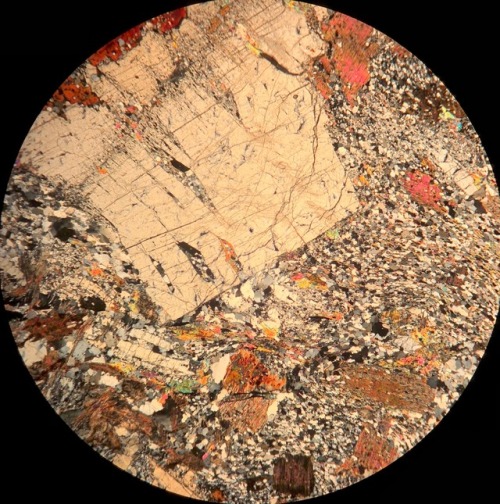 Alkali Feldspar crystals are large in this thin section. The alkali feldspar have subhedral crystals