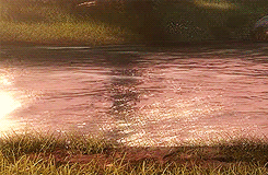 chrissinah:  Rise of the Brave Tangled Dragons: Merida takes the Big Four “swimming”.  
