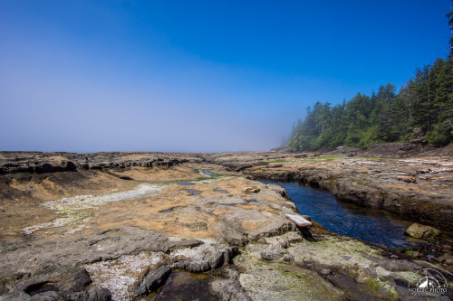 7.7.2014 - day 5 on the West Coast Trail - 1#BC #Canada #VancouverIsland #WestCoastTrail #NordicPhot