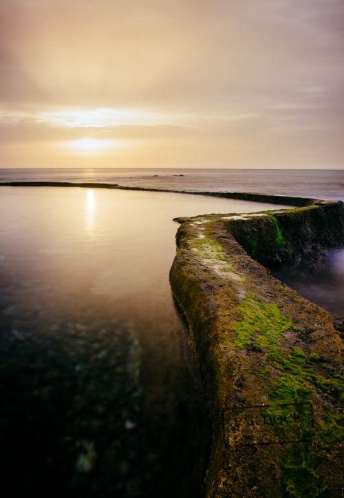 Infinity pool - El Hierro