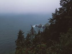 leaberphotos:  And with the rising sun, I arose from ash and dust Oregon Coast 