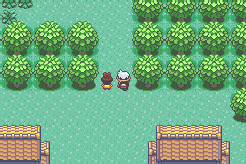 blackthorngym:Saving Professor Birch