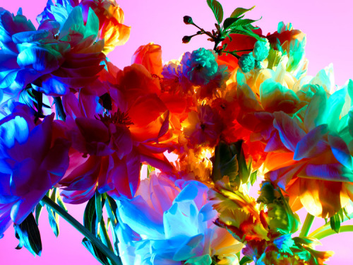 arrests:  Hot House Color by Torkil Gudnason 