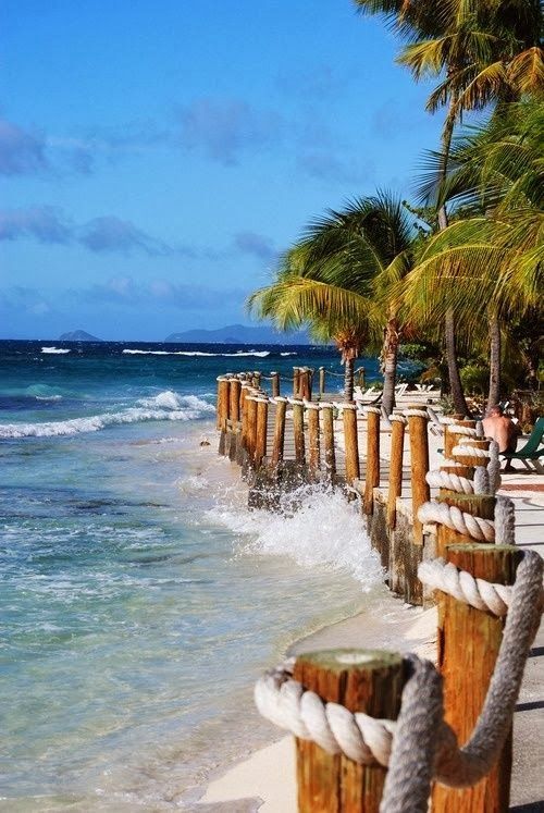 abeautifullife2:  Palm Island  sign me up
