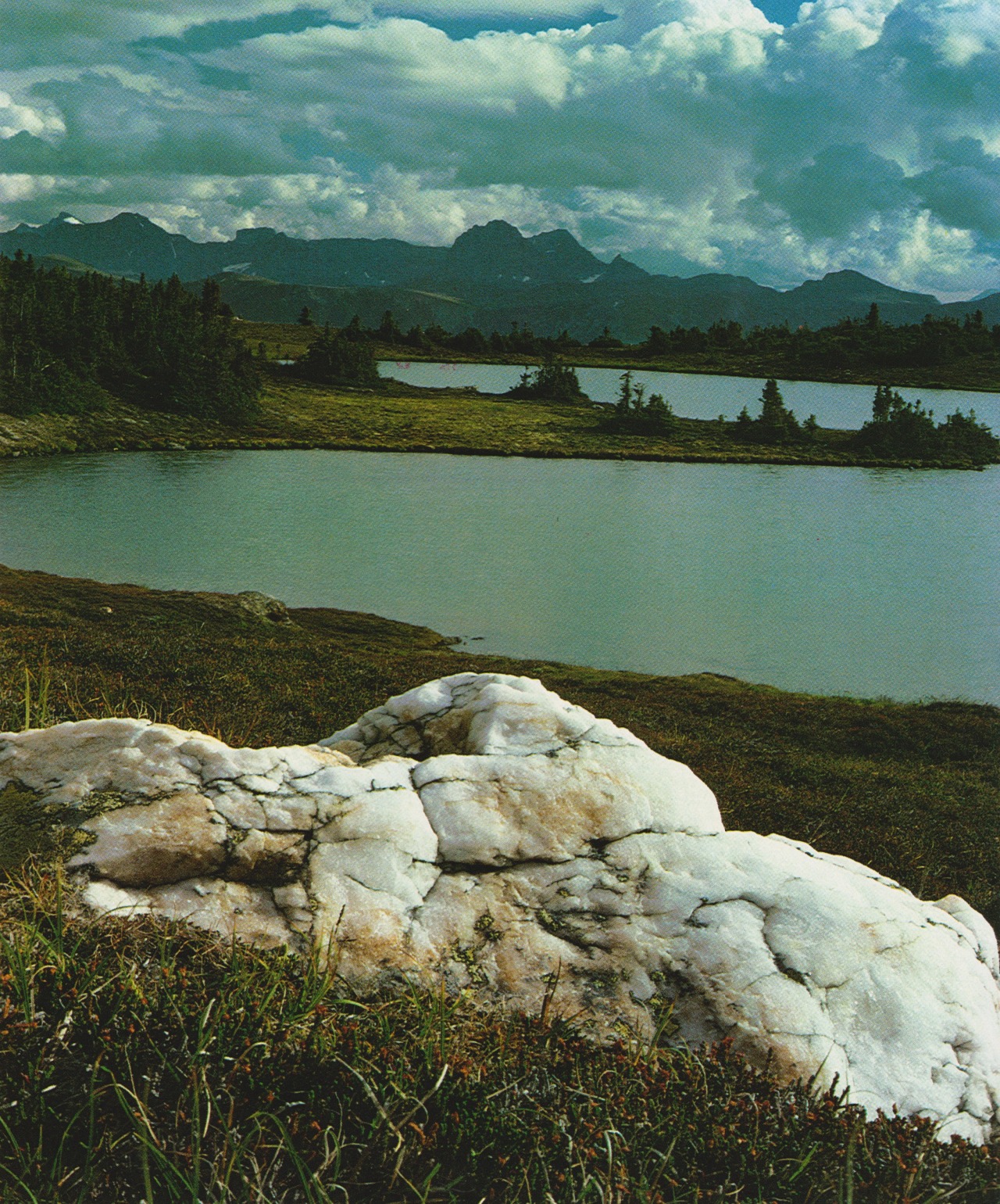retrospectia:Cariboo Mountains, British Columbia.The Rocky Mountains