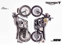 cafuneus:  triumph 