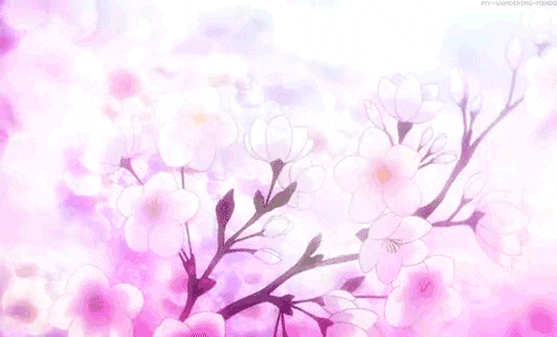 Featured image of post Sakura Tree Gif Pfp