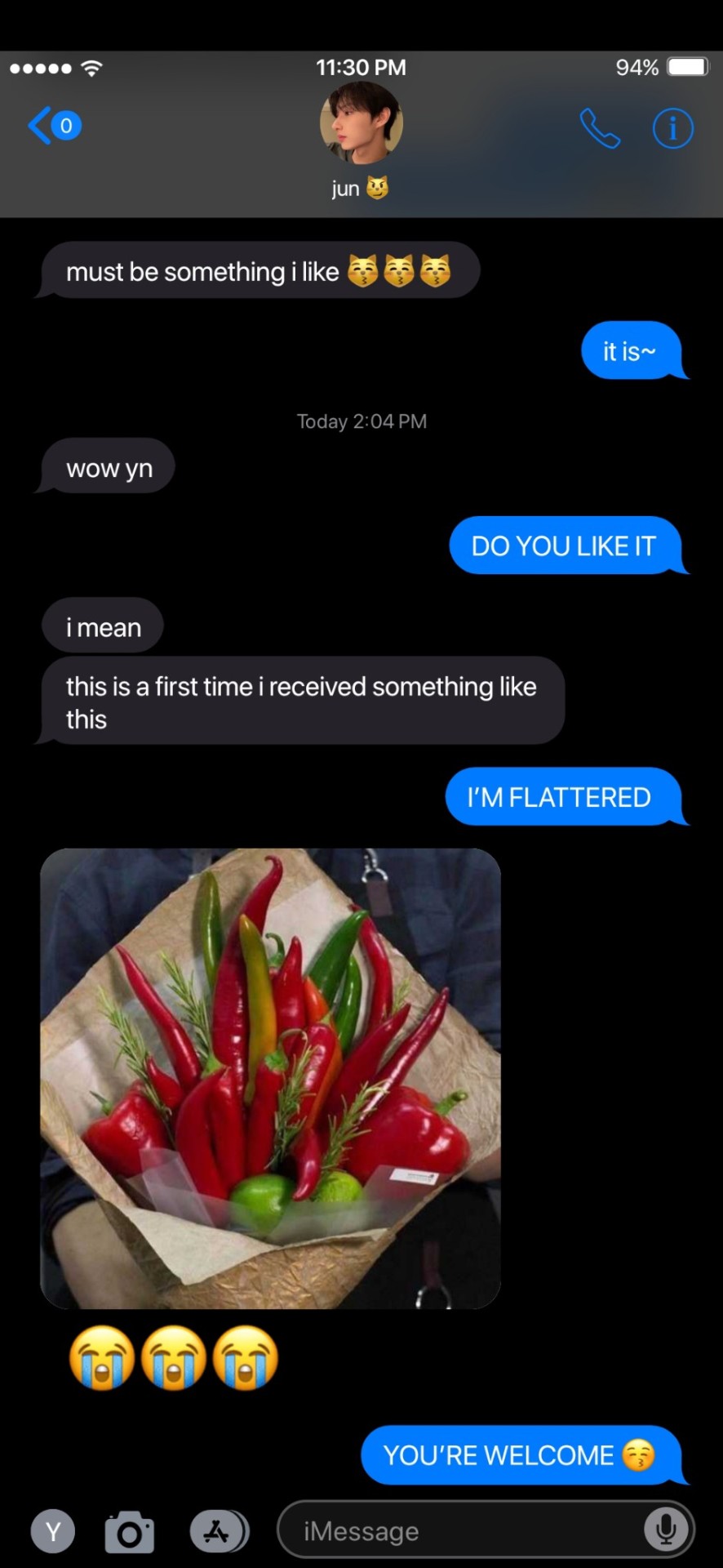 Bf Texts With Jun!