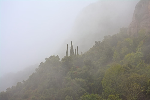 Santa Maria de Montserrat Abbey in the mist