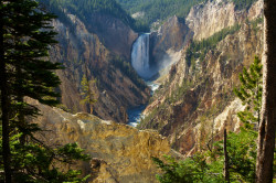 americasgreatoutdoors:  Happy 97th birthday to the National Park Service! Entrance fees are waived for all parks today, so get out there and enjoy them!Photo of Lower Falls in Yellowstone National Park: John Sternbergh (www.sharetheexperience.org) 