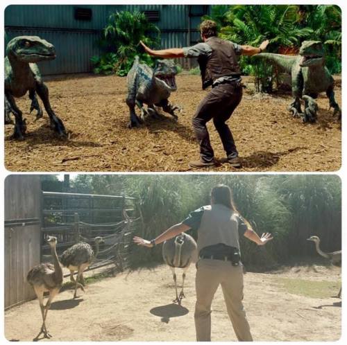 iheartvmt:thejunglenook:nerdistindustries:FTW. Zookeepers and trainers around the world are recreati