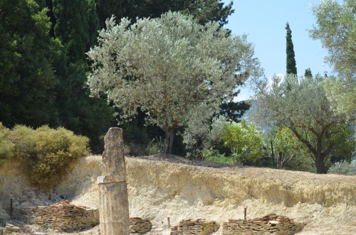 greek-museums:Ancient Nemea:The public bath of Ancient Nemea, the Temple of Zeus of Nemea, the stoa 