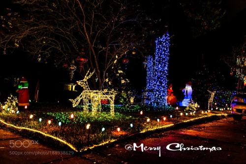 Christmas Lights by mhthuyhuong