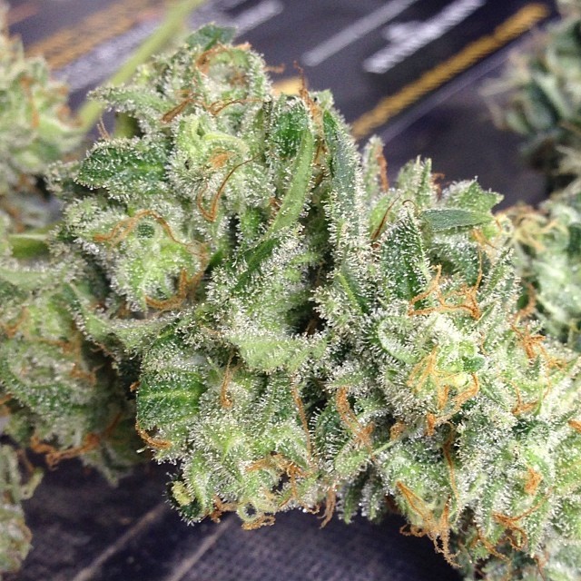 weedporndaily:  Green crack…by diskoe1 http://ift.tt/1cyISIi