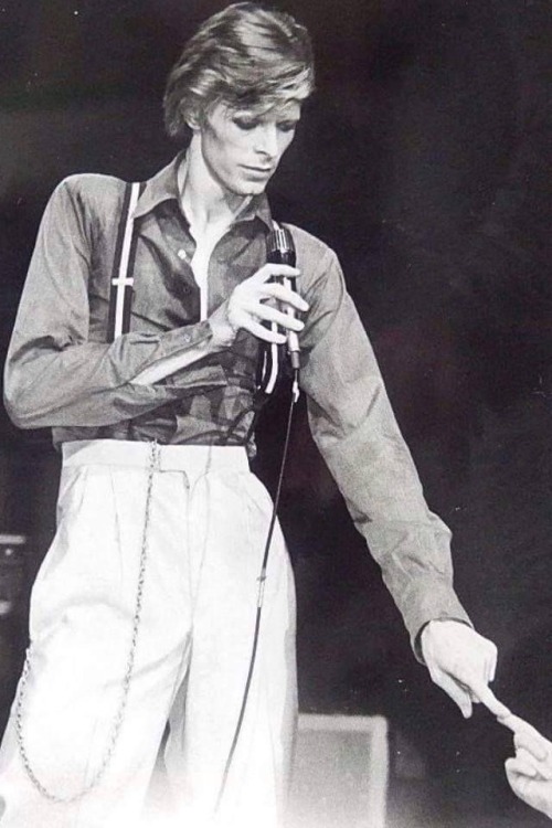 david bowie